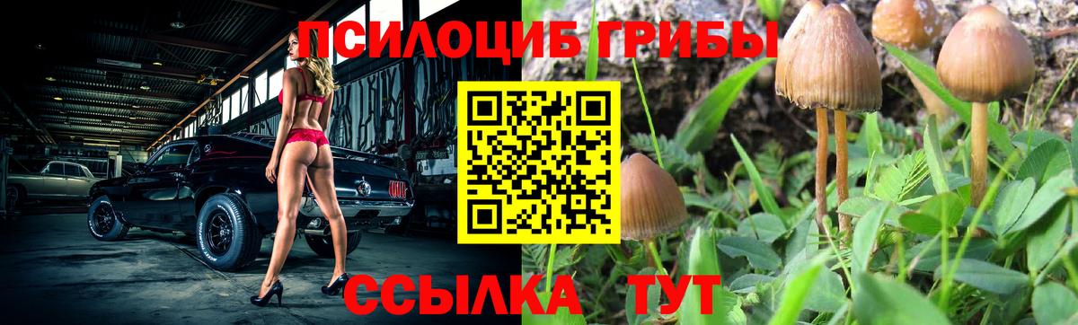 Галлюциногенные грибы Magic Shrooms  Псилоцибиновые грибы MAGIC MUSHROOMS  Ахтубинск  Вход с VPN 